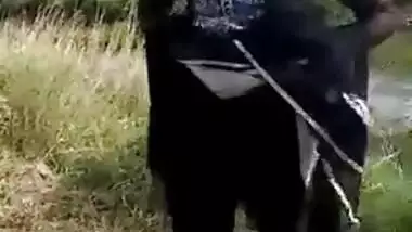 Female exposes her XXX boobies and snatch in Indian outdoor sex video
